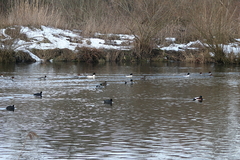 Killikus&reg; Fotographie